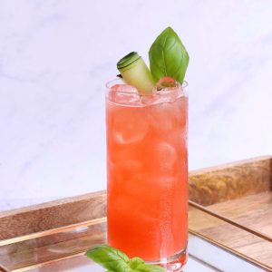 seamoss raspberry & mint drink